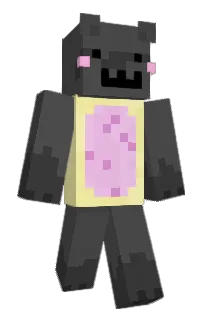 Front of HELLOHAMTER's skin