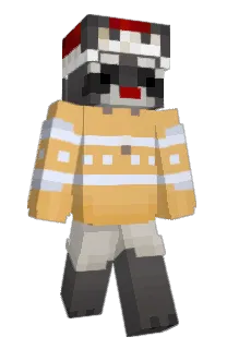 Front of valivaloche's skin