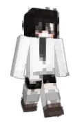 wiredframe