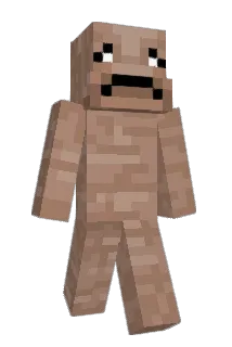 bffman200 Minecraft avatar full body