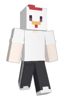 bgbrd Minecraft avatar full body