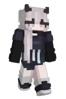 bgsgaming12 Minecraft avatar full body