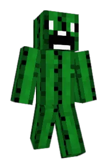 bharvz Minecraft avatar full body