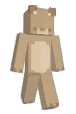 bibbasins Minecraft avatar full body