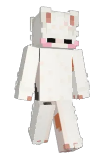 bibilol05 Minecraft avatar full body