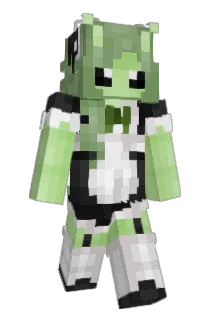 bicowboy Minecraft avatar full body