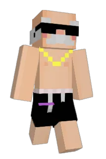 bidzinn Minecraft avatar full body