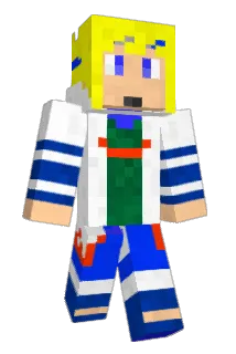 big_bag Minecraft avatar full body