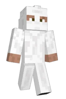 bigaarrond Minecraft avatar full body
