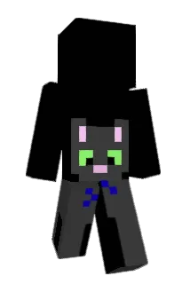bigcatspins Minecraft avatar full body