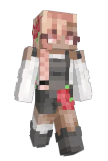 bigdoinkdave Minecraft avatar full body