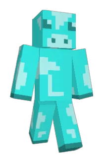 bigmac217 Minecraft avatar full body
