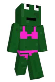 bigmac56 Minecraft avatar full body