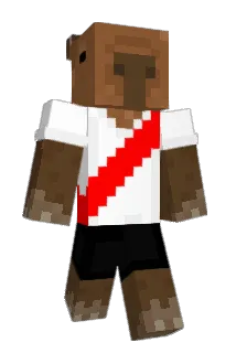 bikusYT Minecraft avatar full body