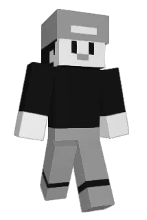 bilingual Minecraft avatar full body