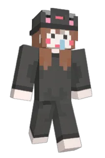 bin297 Minecraft avatar full body