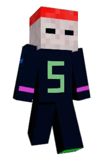 bin414 Minecraft avatar full body