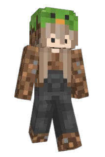 binesb Minecraft avatar full body