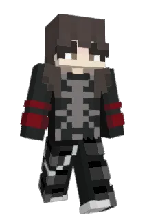 bingawingus Minecraft avatar full body