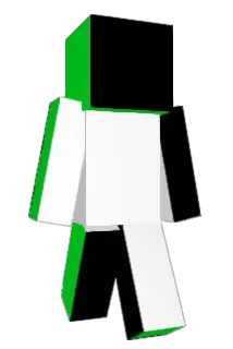 bingsujebi Minecraft avatar full body