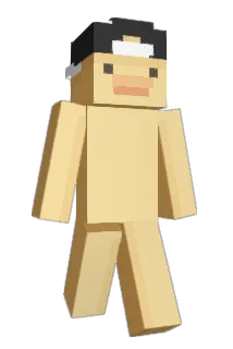bingusbonker Minecraft avatar full body