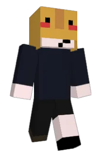 binsen909 Minecraft avatar full body