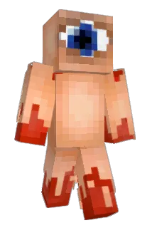binwild Minecraft avatar full body