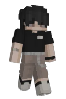 binxin11 Minecraft avatar full body