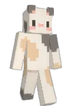 bip_ Minecraft avatar full body