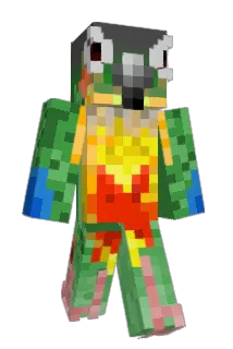 birb8576 Minecraft avatar full body
