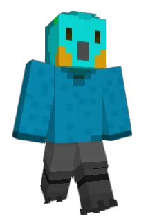 birb_gaming Minecraft avatar full body