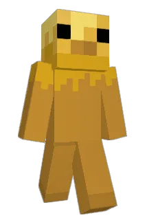 birbp Minecraft avatar full body