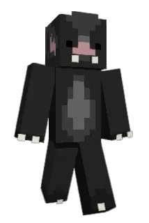 bird72761 Minecraft avatar full body