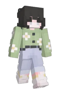 bird7890 Minecraft avatar full body