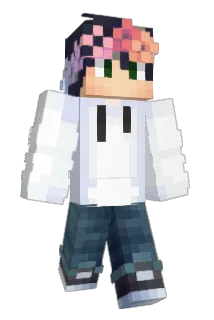 birdii_berrii Minecraft avatar full body