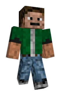 birdis Minecraft avatar full body