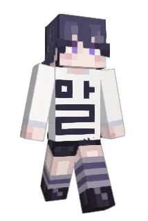 birdly13 Minecraft avatar full body