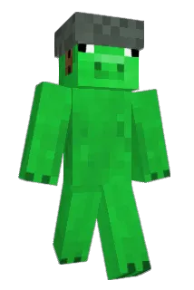 birdpug2600 Minecraft avatar full body