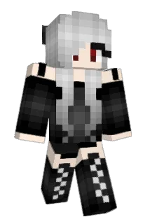 birving14 Minecraft avatar full body