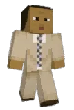 bit5 Minecraft avatar full body