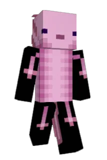 bitcoin_master Minecraft avatar full body
