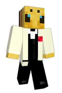 bitinit Minecraft avatar full body
