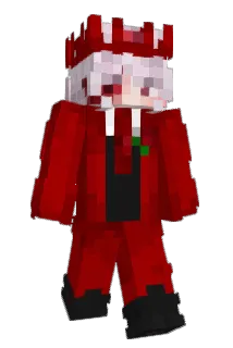 Minecraft-Avatar von bj1m: ganzer Körper