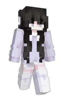 bjdj Minecraft avatar full body