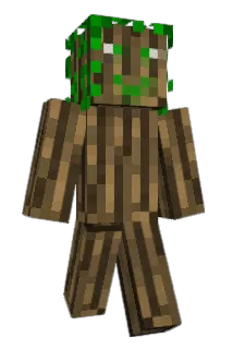bjjoern Minecraft avatar full body