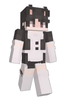 bjohn2013 Minecraft avatar full body