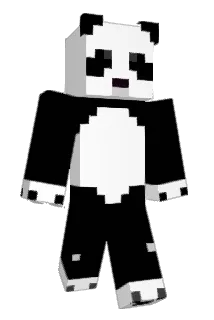 bk_levrai Minecraft avatar full body