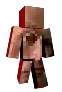 bl0wers1 Minecraft avatar full body