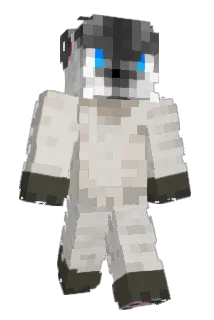 blackC1 Minecraft avatar full body