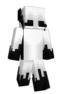 blackcatt Minecraft avatar full body